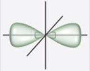 Which figure best illustrates the hybrid orbitals on carbon in benzene, C<sub>6</sub>H<sub>6</sub>? A)    B)    C)    D)    E)   