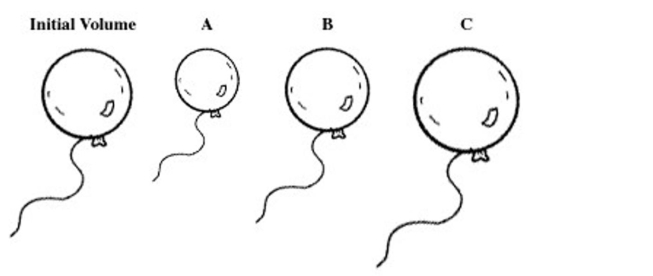 A balloon is filled with helium gas. For the question(s) that follow, select the letter of the balloon diagram that corresponds to the given change in conditions.   -  A) A B) B C) C D) A and B E) B and C