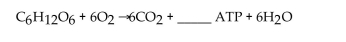 What is the correct coefficient for ATP in the complete reaction of glucose?   A) 6 B) 32 C) 24 D) 18 E) 12