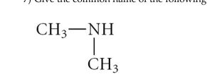   -Give the common name of the following compound. A) dimethyl amine B) 1-methanoate C) methanal D) ethyl amine E) dimethyl ether