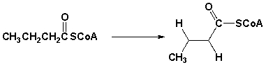 Which is the oxidizing agent for the following reaction?   A)  FAD B)  FADH<sub>2</sub> C)  NAD<sup>+</sup> D)  NADH