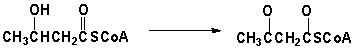 Which is the oxidizing agent for the following reaction?   A)  FAD B)  FADH<sub>2</sub> C)  NAD<sup>+</sup> D)  NADH
