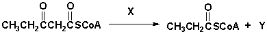 Which best describes this reaction?   A)  reverse aldol reaction B)  aldol reaction C)  reverse-Claisen condensation D)  Claisen condensation