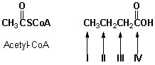 The biosynthesis of butanoic acid proceeds via a Claisen reaction of Acetyl-CoA. If the starting material is labeled at the methyl carbon atom, which atoms will be labeled in the product?   A)  I, II B)  I, III C)  II, III D)  II, IV