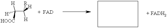 Provide the product of the following reaction.  