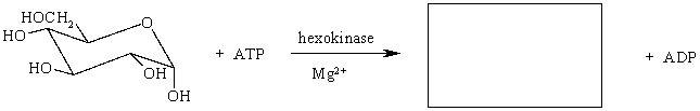 Provide the product of the following reaction.  