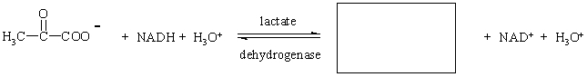 Provide the product of the following reaction.  