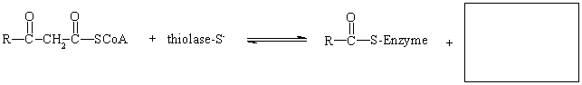 Provide the product of the following reaction.  