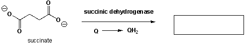 Succinic dehydrogenase catalyzes the synthesis of fumarate from succinate under simultaneous reduction of coenzyme Q. Draw the structure of fumarate in the box.  <div style=padding-top: 35px> 