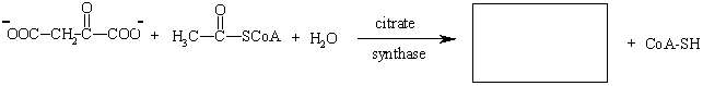 Provide the product of the following reaction.  