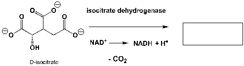  Oxidation of D-isocitrate and simultaneous reduction of NAD<sup>+</sup> to NADH and H<sup>+</sup>, followed by subsequent decarboxylation, leads to  \alpha -ketoglutarate. Complete the reaction scheme.   
