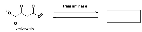 Transamination (amino-group transfer) of L-asparaginic acid provides a link between the metabolism of sugars and amino acids. Complete the reaction scheme.  <div style=padding-top: 35px> 