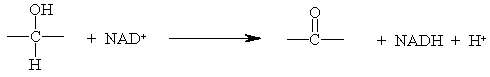 The following reaction is a reduction of the alcohol, oxidation of NAD<sup>+</sup>.  