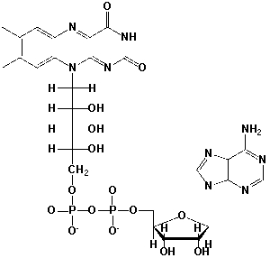 The following structure is FAD.  