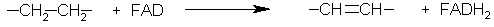 FAD is reduced in the following reaction.  