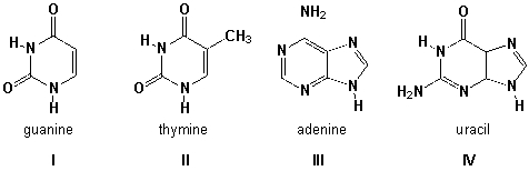 Which structures are named correctly?   A)  I, II B)  II, III C)  III, IV D)  I, III