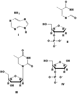 Which structure is a nucleoside?   A)  I B)  II C)  III D)  IV