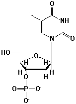 What is the correct name for this structure?   A)  5'-dAMP B)  5'-TMP C)  3'-AMP D)  3'-dTMP
