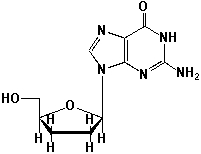 Dideoxynucleotides (ddNTPs, shown here is dideoxyguanosine)  are nucleosides lacking the 3'-hydroxyl group on their deoxyribose sugar. They are the key molecules for the method of DNA-sequencing, which was developed by Frederick Sanger in 1977. What is the function of dideoxynucleotides, based on its structure?   A)  Dideoxynucleotides terminate DNA growth during replication at one distinct position. B)  Dideoxynucleotides terminate DNA growth statistically at each A-, G-, C- or T-site, depending on the dideoxynucleotides used (ddA, ddG, ddC or ddT) . C)  Dideoxynucleotides terminate the DNA replication and switch on DNA transcription to mRNA. D)  Dideoxynucleotides activate rRNA.
