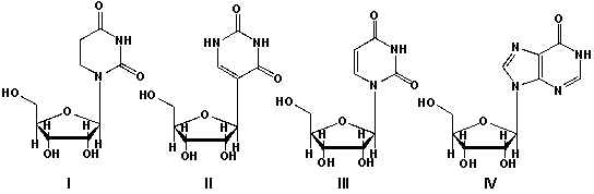 Transfer RNA (tRNA)  is a small RNA molecule (usually less than 100 nucleotides)  that transfers defined amino acids to a growing peptide chain at the ribosomal site during translation. tRNA contains unusual bases, such as, pseudouridine and inosine. Which sequence of ribonucleosides is correct?   A)  I: uridine, II: pseudouridine, III: inosine, IV: dihydrouridine B)  I: pseudouridine, II: uridine, III: inosine, IV:dihydrouridine C)  I: dihydrouridine, II: pseudouridine, III: uridine, IV: inosine D)  I: inosine, II: dihydrouridine, III: uridine, IV:pseudouridine
