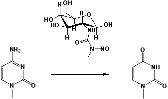 <strong>Streptozotocin, like other so-called N-nitrosourea derivatives can lead to the oxidation of Cytosine to Uracil. What are the consequences for the complementary nucleobase when the DNA is transcribed? </strong> A) No consequence, because thymine and uracil bind both to adenine. B) In the complementary strand, adenine instead of guanine will bind. C) In the complementary strand, cytosine instead of guanine will bind. D) In the complementary strand, guanine instead of adenine will bind.