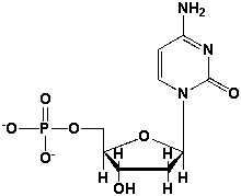 The name of the following nucleotide is _____________________________________.   