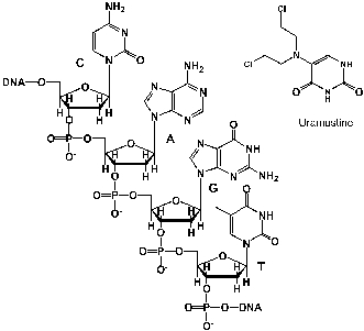 Uramustine or uracil mustard is a chemotherapeutic drug that has been somewhat efficient against lymphatic cancers, such as non-Hodgkin's lymphoma. It works by alkylating the DNA, which causes apoptosis (programmed cell death) of the affected cells. What product is formed during the alkylation of adenine?