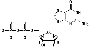 The following nucleotide is named 5'-Guanosine diphosphate.   