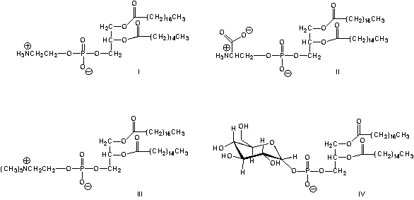 Which is the structure of a phosphatidyl choline?   A)  I B)  II C)  III D)  IV