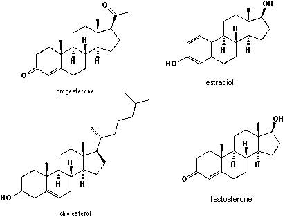 Shown are cholesterol, estradiol, testosterone (see N13)  and progesterone, which is the female pregnancy hormone. Cholesterol and all three hormones are present in both, males and females, albeit in different concentration. Their biosynthesis follows one common scheme. Based on the structures shown below, which is the hormone that is formed as an intermediate during the biosynthesis of the other two hormones?   A)  cholesterol B)  progesterone C)  estradiol D)  testosterone