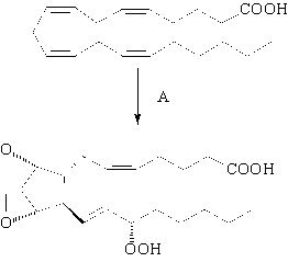 Which is the best description of the first step (A)  of the biosynthesis of prostaglandin?   A)  hydration B)  reduction C)  oxidation D)  Claisen condensation