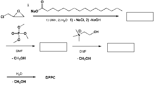 Dipalmitoylphosphatidylcholine (DPPC) is a phospholipid that is the major constituent of pulmonary surfactant. It is also used as a model phospholipid in numerous studies of liposomes, lipid bilayers and model biological membranes. Complete the following sequence of reactions.  
