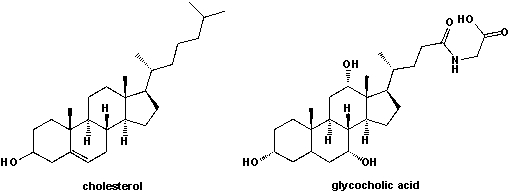 Bile acids are synthesized in the liver by cytochrome p450-mediated oxidation of cholesterol. They are often conjugated with the amino acid glycine and stored in the gallbladder. What are the differences in molecular structure between cholesterol and the cholic-acid conjugate shown below?  