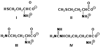Which amino acid has a basic side chain?   A)  I B)  II C)  III D)  IV