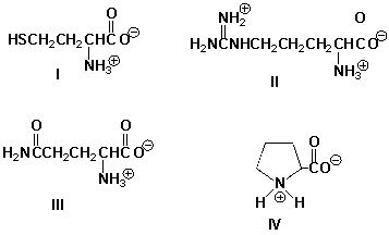 Which molecule has an overall positive charge?   A)  I B)  II C)  III D)  IV