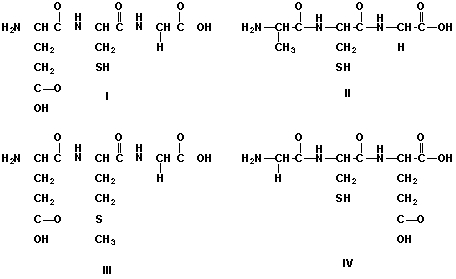 Which is the chemical structure of the tripeptide glutathione (glu-cys-gly) ?   A)  I B)  II C)  III D)  IV