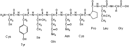 Oxytocine is a mammalian hormone that also acts as a neurotransmitter in the brain. Among many other functions, it also facilitates birth and breastfeeding. Oxytocine is a small peptide made of nine amino acids (a nonapeptide) . The primary sequence is cysteine - tyrosine - isoleucine - glutamine - asparagine - cysteine - proline - leucine - glycine. In its active form oxytocine forms a cyclic structure. Which secondary bond is most suitable to form the cyclic structure?   A)  a thioester between cysteine and glycine B)  a disulfide bridge between cysteine and cysteine C)  an amide between cysteine and glycine D)  an ester between the phenolic group of tyrosine and glycine