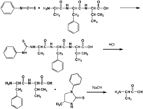 Complete the following mechanism   