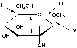 Which of the labeled bonds is a glycosidic bond?   A)  I B)  II C)  III D)  IV