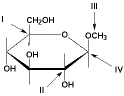 Which of the labeled atoms is the anomeric carbon?   A)  I B)  II C)  III D)  IV
