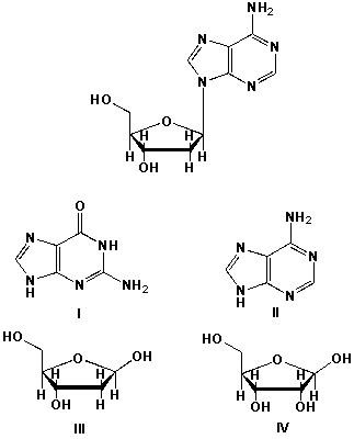 Which components react to form adenine-deoxyribonucleoside?   A)  I and II B)  II and III C)  I and III D)  II and IV