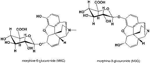 Morphine-6-glucuronide (active)  and morphine-3-glucuronide (inactive)  are both metabolites of morphine found in humans. The accumulation of morphine-glucuronides can lead to kidney failure. The chemical connection between morphine and glucuronide belongs to which classes of compounds?   I)  glycoside II)  ester III)  ether IV)  acetal A)  I, II, III B)  II, III, IV C)  I, III, IV D)  I, II, IV