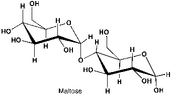  Maltose is a disaccharide formed from two units of D-Glucose. The production of maltose from germinating cereal grains (such as barley)  is called malting, which is the first step of the brewing process. During germination, the concentration of amylases, which are the enzymes producing maltose from starch, is maximal. Maltose is then consumed by yeast, which produces ethanol and carbon dioxide. What type of glycosidic bond can you discern?   A)    \beta -1,4 glycosidic bond  B)    \alpha -1,4 glycosidic bond  C)    \beta  -1,2 glycosidic bond  D)    \alpha -1,2 glycosidic bond  
