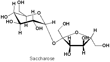 Sucrose is a disaccharide from sugar cane and sugar beets consisting of the following monosaccharides:   A)  D-Glucopyranose and D-Fructofuranose B)  L-Galactopyranose and D-Fructofuranose C)  D-Glucofuranose and D-Fructopyranose D)  L-Glucopyranose and D-Galactopyranose