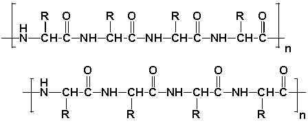 <strong>Keratins are a family of tough and insoluble proteins that are able to form fibers. They form the hard but unmineralized (not bony) structures in amphibians, mammals and reptiles/birds. Keratin, a byproduct from the poultry industry, has recently sparked interest. Keratins are made from a high proportion of the amino acid glycine (R=H), followed by the amino acid alanine (R=-CH<sub>3</sub>). Two neighboring strands of keratin are shown below. To what class of polymers is Keratin quite similar?  </strong> A) polyesters, such as PET B) polyamides, such as nylon C) polyalkenes, such as polyacrylate D) polyurethanes <div style=padding-top: 35px> 