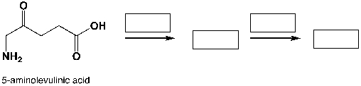 Poly-amino-levulinic acid is a biodegradable polymer. Complete the reaction scheme shown below, which leads to the synthesis of poly-amino-levulinic acid:  <div style=padding-top: 35px> 