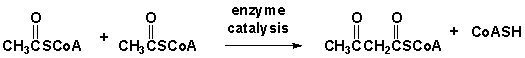 The following synthesis will proceed by which reaction?   A)  Claisen condensation B)  Dieckmann condensation C)  Aldol addition D)  Aldol condensation reaction