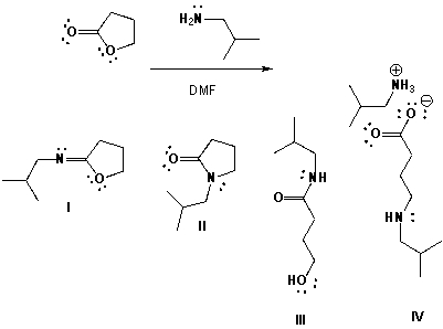 Butyrolactone reacts with 2-methylpropan-1-amine in DMF (dimethylformamide) . Which is the major product?   A)  I B)  II C)  III D)  IV
