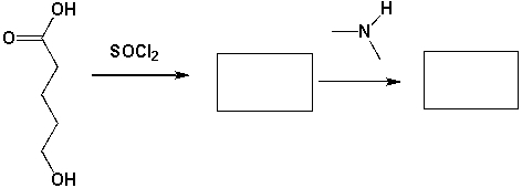 1 Mol of 5-hydroxypentanoic acid reacts with 1 mol of SOCl<sub>2</sub> and then with 1 mol of dimethylamine. What major products are formed in each step?  