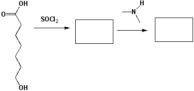 1 Mol of 5-hydroxyheptanoic acid reacts with 1 mol of SOCl<sub>2</sub> and then with 1 mol of dimethylamine. What major products are formed in each step?  